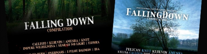 Falling Down II : premiers noms annoncés !