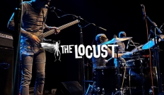 The Locust live intégral 23/11/2013 @ Porter's Pub, San Diego