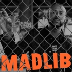 Madlib - Rock Konducta (2014)