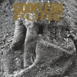Godflesh - Pure (1992)