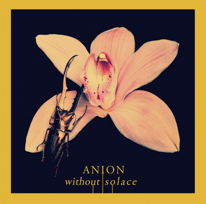 Anion : Without Solace, douceur canadienne originaire de Vancouver en streaming intégral