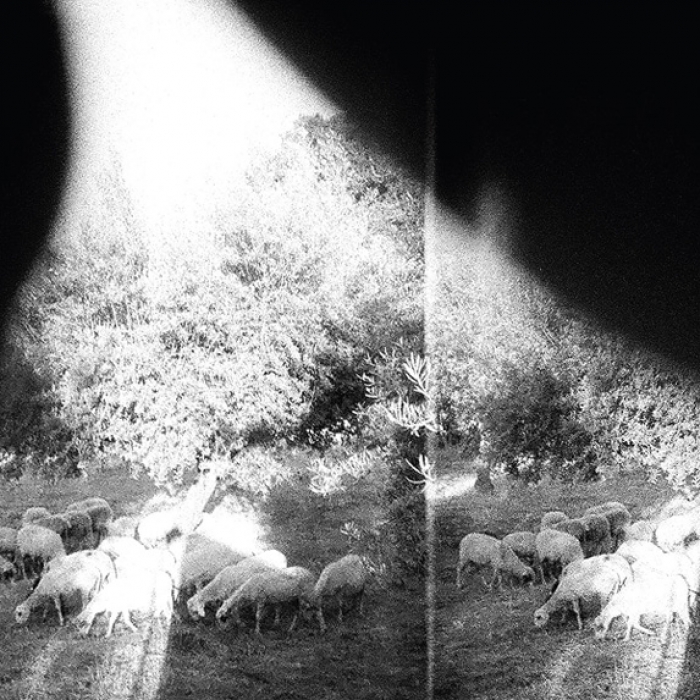 Godspeed You! Black Emperor annonce son sixième album : Asunder, Sweet and Other Distress